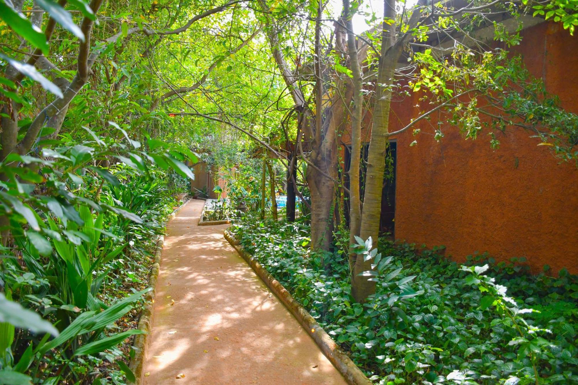 Hotel Gala Addara Dambulla Zewnętrze zdjęcie